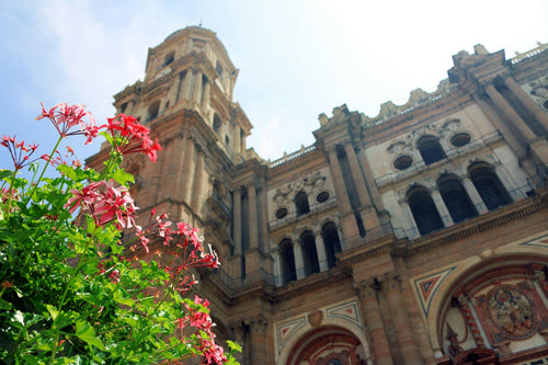 CATEDRAL DE MALAGA " LA MANQUITA"